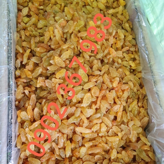NHO KHÔ VÀNG ẤN ĐỘ THÙNG 10 KG