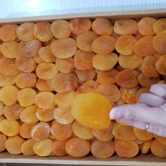 HỘP MƠ SẤY DẺO THỔ NHĨ KỲ 400G